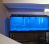 IMG_0224.JPG