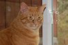DSC_0032.JPG