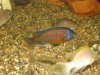 DSC07867.JPG