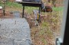 DSC_0034.JPG DSC_0034.JPG