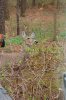 DSC_0054.JPG DSC_0054.JPG