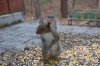 DSC_0039.JPG DSC_0039.JPG