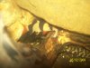 100_0180.JPG
