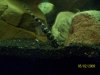 100_0086.JPG