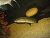 IMG_5219.JPG