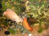 DSC03298.JPG