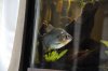 DSC_1647.JPG