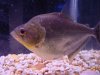 DSC01900.JPG