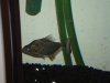 DSC00791.JPG