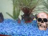 DSC00795.JPG