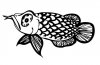 Arowana.jpg