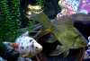 Dsc02082.jpg