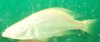 100_3517.JPG