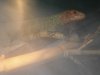 fish 122.jpg