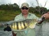 Tocantins 09.jpg