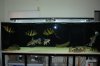 May 10 Tank 045.jpg