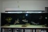 May 10 Tank 048.jpg