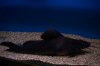 100_1417.JPG