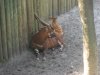 zoo 011.JPG