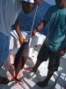 IMG_0092.jpg IMG_0092.jpg