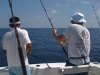 IMG_0093.jpg IMG_0093.jpg