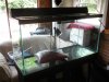 DSCN0779.JPG