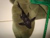 DSC01167.JPG