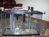 100_0503.jpg