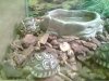 TURT1.jpg