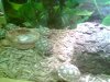 TURT2.jpg