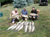 16fish.jpg