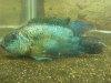 DSCF2678.JPG
