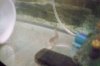 100_0131.jpg