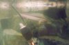 100_0132.jpg