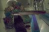 100_0133.jpg
