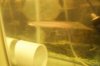 100_0134.jpg