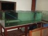 DSC06470.JPG