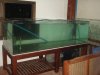 DSC06471.JPG
