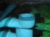 DSC06474.JPG