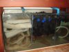 DSC06476.JPG