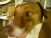 IMGP0821.JPG