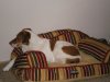 IMGP0702.JPG