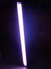fish light 004.JPG
