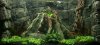 akvarie_RT8_copy.jpg