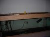 fish pics 001.jpg