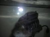 fish pics 007.jpg