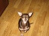 kims pics 001.JPG