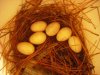 eggs 001.jpg