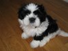 20090525223531211.jpg