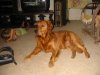 108-0872_IMG.JPG